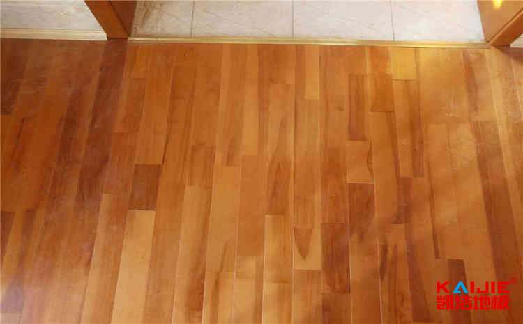 西藏藏醫學院官網