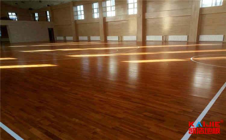 拉薩師范高等專科學校官網