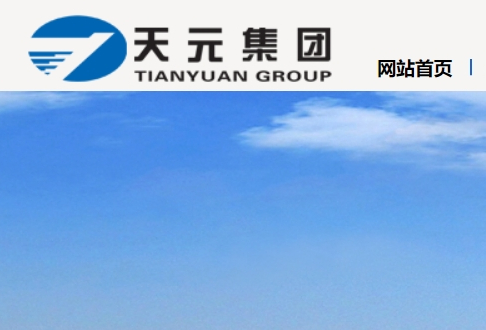 天元集團