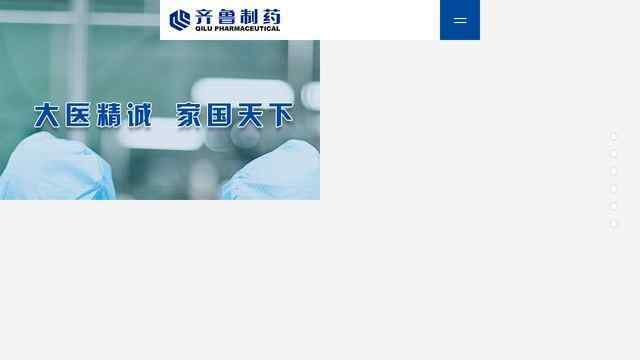 齊魯制藥有限公司