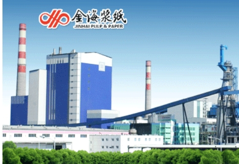 海南金海漿紙業有限公司