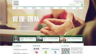 聯想投資有限公司