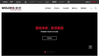 臥龍電氣集團股份有限公司