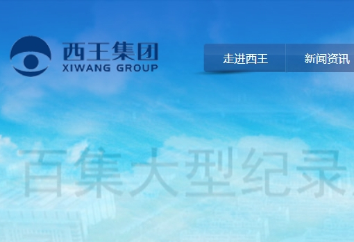 西王集團有限公司
