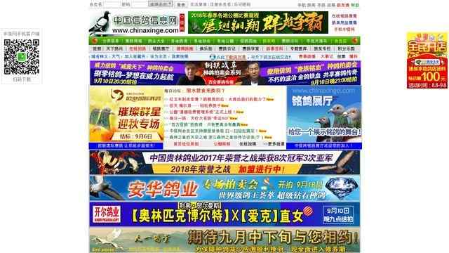 中國信鴿信息網各地公棚