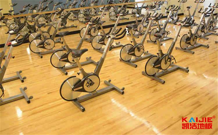 哈爾濱現代公共關系職業學院官網