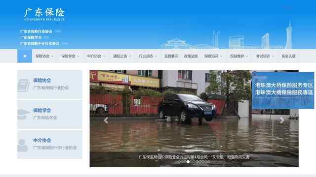 廣東省保險行業協會