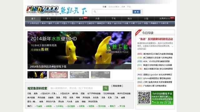 fish3000魚躍天下