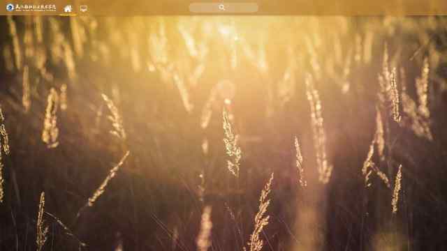 武漢船舶職業技術學院教務系統