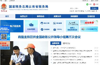 云南國稅網上申報系統