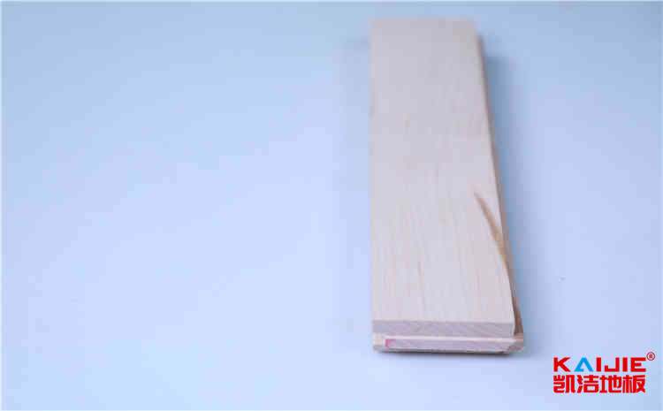 北京信息職業技術學院網站