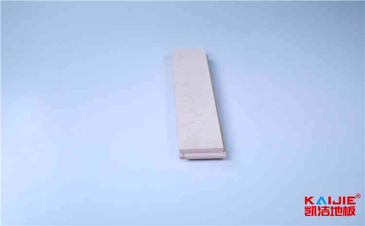 北京工業大學耿丹學院網站