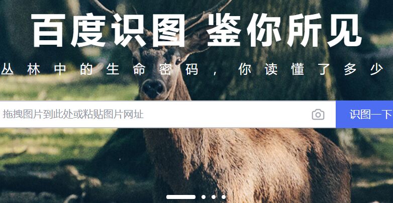 百度識圖網頁版在線