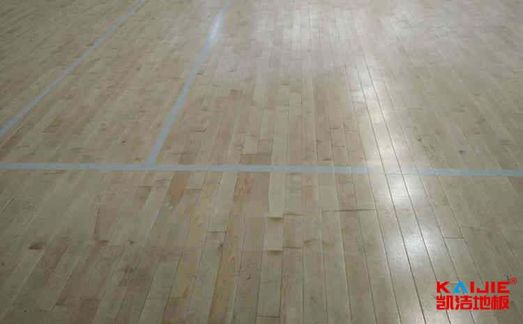 呼倫貝爾學院網站