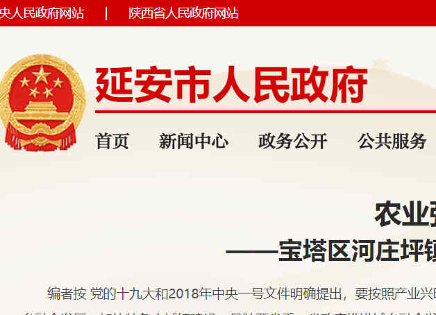 延安市人民政府網