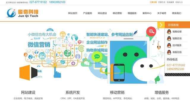 武漢峻奇網絡科技有限公司